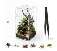 Huiguli Jumping Spider Enclosure, 15 x 14 x 25 cm Reptile Growth Terrarium