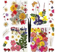 Huimai 101 PCS Real Dried Pressed Flowers for Crafts, Natural Dried Flowers for Resin,Earrings, Hairpin Making, Artistic Face Makeup, Photo Frames, DIY Candles (101)