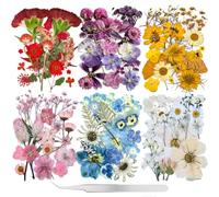 Huimai 211Pcs Dried Pressed Flowers Kit for Resin Crafts | Vacuum sealed pressed blooms in 6 colours for DIY nail art & phone case decor, Jewellery making & epoxy resin molds