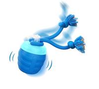 Huimpet Interactive Dog Toys - [2025 Newly Upgraded] Motion Activated Ball for Small/Medium/Large Dogs, Automatic Moving Dog Toy Wicked Ball for Boredom & Training, Music, USB Rechargeable (Blue)