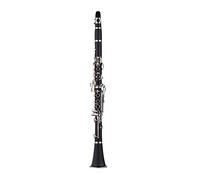HUIOP ABS 17-Key Clarinet Bb Flat with Carry Case Gloves Cleaning Cloth Mini Screwdriver Reed Case 10pcs Reeds Woodwind Instrument,clarinet B flat