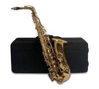 HUIOP Brass Eb Alto Saxophone, Gold, Saxophone with Carry Case Gloves Cleaning Cloth Brush Sax Neck