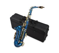 HUIOP Brass Engraved Eb E-Flat Alto Saxophone Sax Abalone Shell Buttons Wind Instrument with Case Gloves Cleaning Cloth Belt Brush,Engraved Brass Sax