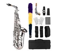 HUIOP Eb Alto Saxophone, Brass, Carved Pattern, Exquisite, with Gloves, Cleaning Cloth, Brush, Straps