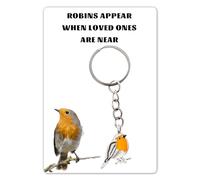Huipalon Robin Memorial Gifts, Robin Keyring with Robins Appear When Loved Ones Are Near Condolences Card, Robin Gifts for Women Bereavement Gifts Remembrance Gifts for Loss of Mum Dad Grandma Friend