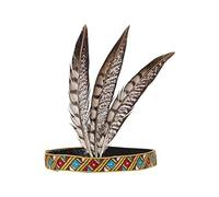 HUITINGJIANYYDS Indian Headdress Headdress Feather Feather Headband Hair Band Headpiece Flapper Unisex Adult Hair Decoration for Birthday Parties, Dances,Festivals,Banquets