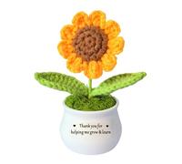 HULALA Handmade Positive Sunflower Gifts - Thank You for Helping Me Grow and Learn - Teacher Appreciation Gift from Student - Christmas, Birthday, End Of The Year, Thank You Presents for Teacher