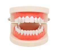 Huliyhus 2 Pcs 18K Gold Plated Double Tooth Cap Hip Hop Teeth Grillz Vampire Fangs Grills Set for Men Women Party Accessories Teeth Grills, One Size, brass, no gemstone