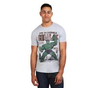 Hulk Men's Rage Cotton T-Shirt Grey | Size: Large Hulk Grey L