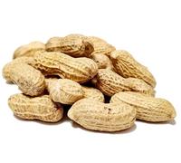 Hulme Roasted Monkey Nuts In-Shell (100g Pack)