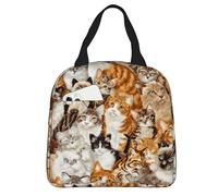 Hulnulnu Cute Cat Insulated Lunch Bag Reusable Lunch Box Portable Cooler Lunch Boxes Waterproof Lunch Tote for Picnic Office Work