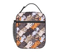 Hulnulnu Sleeping Cat Insulated Lunch Bag Reusable Insulated Lunch Box Portable Meal Tote Bag for Work School Travel Picnic