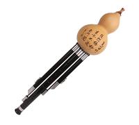 Hulusi Flute Ebony Sound Pipe Hulusi Chinese Traditional Ethnic Wind Instrument Gourd Flute With Storage Case (Color : 02, Size : B flat)