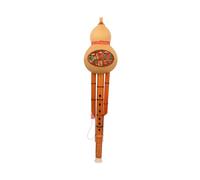 Hulusi Flute Instrument Phoenix Tail Zhu Gourd Silk Tied With Colorful Thread Beginner Two-tone Gourd Silk B Flat C Tune Instrument(Set,B)