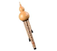 Hulusi Instrument Chinese National Musical Instrument Hulusi Detachable Performance Level Gourd Flute With Case (Color : D minor)