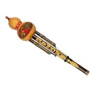 Hulusi Instrument Professional Chinese Handmade Hulusi Flute Double Tone C Key Gourd Flute Ethnic Instrument With Case (Color : Style 01)