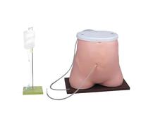 Human Abdomen Manikin - Peritoneal Dialysis Model, Peritoneal Dialysis Model, Fistula Simulator, Ideal for Medical Education & Demonstration