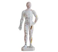Human Acupuncture Model, 9.05inch Tall Body Meridian Silicone with Points Huamn Massage for Home Use(A)