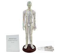 Human Acupuncture Model, Acupuncture Point Mannequin for Needle Insertion Practice with Point Location Instructions