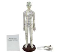 Human Acupuncture Model, Acupuncture Point Mannequin for Needle Insertion Practice with Point Location Instructions