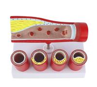 Human Anatomical Model Cardiovascular Artery Coronary Artery Like Model Body Teaching Pathological Vascular Model For Doctor's Office And Classrooms Medical Learning Resources