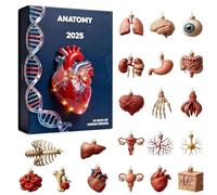 Human Anatomy Advent Calendars 2025, 2D Miniature Organ Model Pendant Advent Calendars,for Home Office School Classroom Labs Science Lovers Nurses Teachers Students