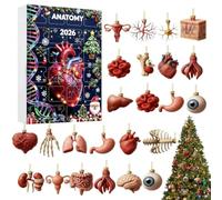 Human Anatomy Adventcalendars 2026, 24 Day Christmas Countdown Organ Bauble | 2D Acrylic Medical Science Ornaments with Skeleton, Heart & Brain, Festive Tree & Desk Decor Gift for Doctors & Students