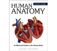 Human Anatomy : An Illustrated Guide to the Human Body