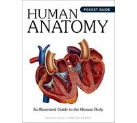 Human Anatomy: An Illustrated Guide to the Human Body (Mini Encyclopedias)