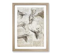 Human Anatomy by Leonardo Da Vinci Framed Wall Art Print A2 Oak