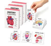 Human Anatomy Flash Cards 30PCS Anatomy and Physiology Visual Study，3 Set | Pocket Size Human Body System Anatomy Cards, Medical Terminology Diagram Cards for Increasing Knowledge of the Human Body