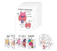 Human Anatomy Flash Cards - Visual Study Guide for Nursing & Exam Prep, 30Pcs Human Anatomy Flash Cards with Labeled Diagrams Key Information, Medical, Nursing School Essentials (1PC)