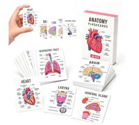 Human Anatomy Flashcards 30 Pcs Anatomy and Physiology Visual Study | Anatomy Flash Cards,Pocket Size Medical Terminology Diagram Card,Guide &Flash Cards Set for Medical,Nursing StudentEssentials