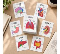 Human Anatomy Flashcards 30 Pcs Anatomy and Physiology Visual Study | Guide & Flash Cards Set for Medical, Nursing Student Essentials, Pocket Size Medical Terminology Diagram Cards