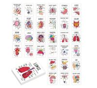 Human Anatomy Flashcards 30 Pcs Anatomy and Visual Physiology Study | Guide & Flash Cards Set for Medical, Nursing Student Essentials, Pocket Size Medical Terminology Diagram Cards
