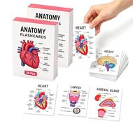 Human Anatomy Flashcards 30 Pcs, Anatomy & Physiology Visual Study Guide & Flashcard Set, Full Color Study Cards, Pocket Size Medical Terminology Diagram Cards for Medical, Nursing Students，2pc