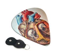 Human Anatomy Heart Chart Guitar Pickfor Pickups For Acoustic Electric Guitar Bass Ukulele
