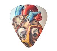Human Anatomy Heart Chart Guitar Plectrums Classical Triangle Bass Acoustic And Electric Guitar Plectrums For Guitarists 12 Pieces