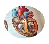 Human Anatomy Heart Chart Printed 30" Fluffy Christmas Tree Skirt with Tie Closures Felted Polyester Xmas Tree Mat for Holiday Party Decor