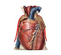 Human Anatomy Heart Chart Printed Christmas Drawstring Bags for Xmas Gift Wrapping, Red Christmas Ribbon, S