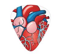 Human Anatomy Heart Chart Printed Custom 12 Pieces Guitar Pick In A Box,The Pick Makes Sound Clear, Ukulele, Electric Bass (0.46 0.71 0.96mm)