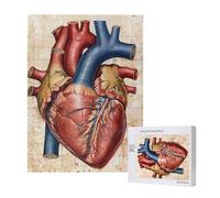 Human Anatomy Heart Chart Printed Wooden Intelligence Puzzle 38x52 CM, 500 Pieces(boxed) Jigsaw Puzzles Education Game for Adults, Home Decoration Puzzle