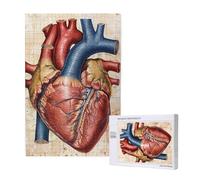 Human Anatomy Heart Chart Printed Wooden Intelligence Puzzle 50x75 CM - 1000 Pieces(boxed) Jigsaw Puzzles Education Game for Adults - Home Decoration Puzzle