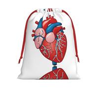 Human Anatomy Heart Chart Ultra Soft Velvet Gift Bag, Stylish Design, Preferred For Holidays