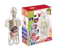 Human Anatomy - Human Body Model for Children | Realistic Visualization 'Human Anatomy | Build Your Human Body | Nature Discovery Range For Children Aged 8+