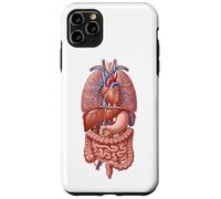 Human Anatomy Internal Organs Biology Art Case for iPhone 11 Pro Max