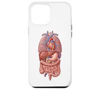 Human Anatomy Internal Organs Biology Art Case for iPhone 12 Pro Max