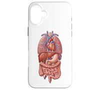 Human Anatomy Internal Organs Biology Art Case for iPhone 16 Plus