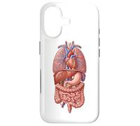 Human Anatomy Internal Organs Biology Art Case for iPhone 17