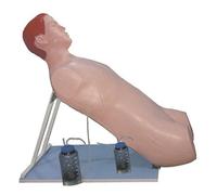Human Anatomy Model with Chest Tube Insertion Training